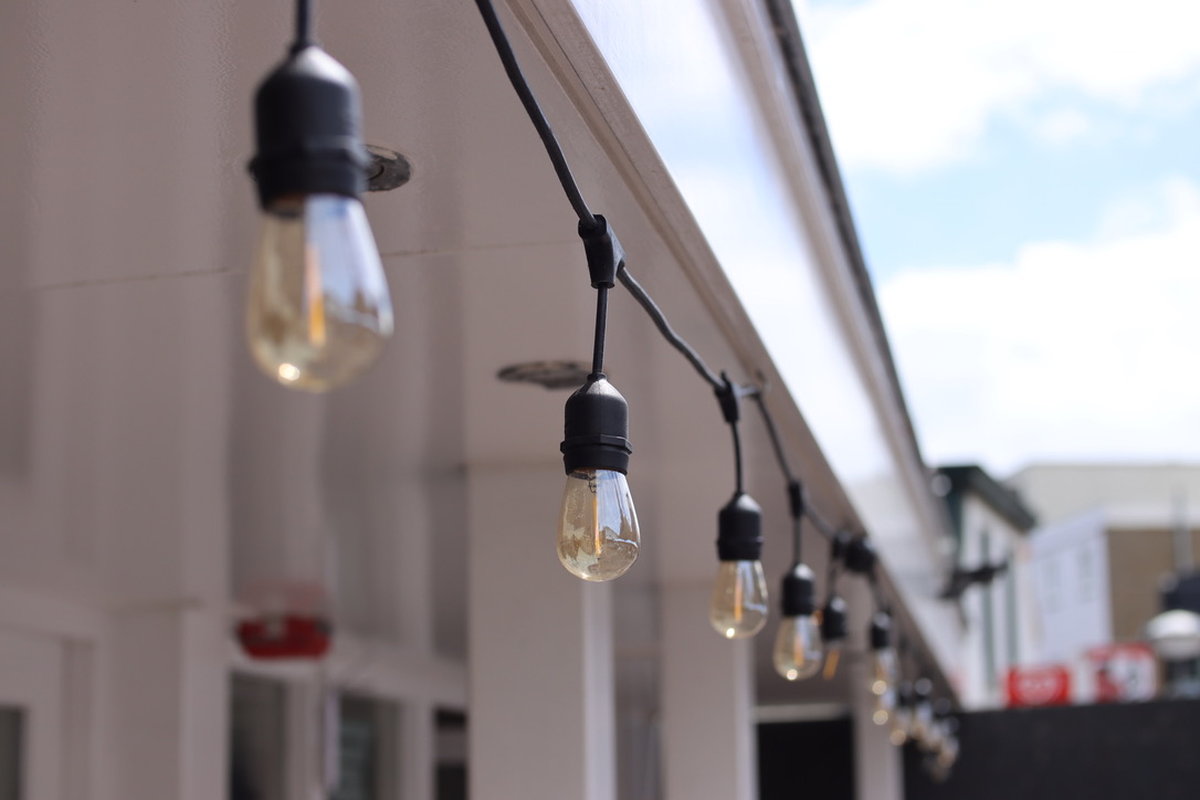 Petito decorative light bulbs outside